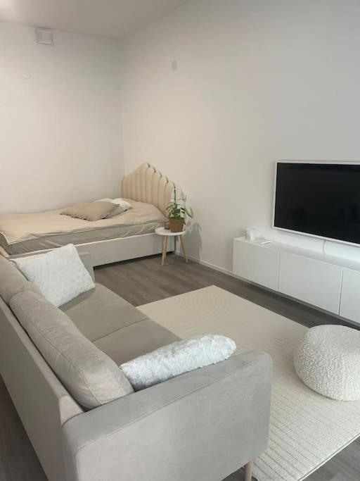 Yksioe Loistavalla Sijainnilla Sekae Yhteyksillae Apartment