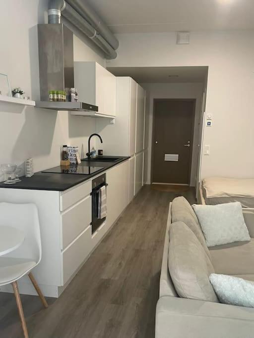 Apartment Yksioe Loistavalla Sijainnilla Sekae Yhteyksillae Vantaa